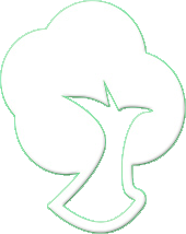 Image is not available